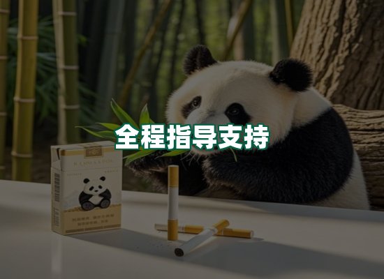 核心优势